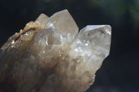 Natural Cascading Pale Citrine Clusters  x 3 From Luena, Congo - Toprock Gemstones and Minerals 