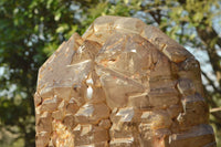 Polished Gorgeous XXL Elestial Smokey Window Quartz Crystal With Cascading Tabular Crystals x 1 From Madagascar - TopRock