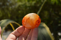 Polished Stunning Selection Of Carnelian Agate Palm Stones  x 20 From Madagascar - TopRock