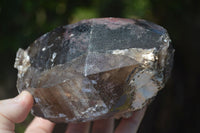 Natural Morion Smokey Quartz Crystals  x 2 From Mulanje, Malawi - Toprock Gemstones and Minerals 