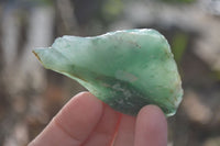 Natural Rough Jade Cobbed Specimens x 28 From Swaziland