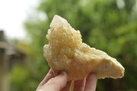 Natural Pineapple/Candle Quartz Clusters  x 14 From Madagascar - TopRock