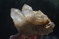 Natural Cascading Pale Citrine Clusters  x 3 From Luena, Congo - Toprock Gemstones and Minerals 