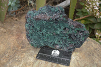 Natural Drusy Coated Ball Malachite On Dolomite Specimen  x 1 From Likasi, Congo