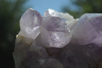 Natural Jacaranda Amethyst Clusters x 2 From Mumbwa, Zambia - TopRock