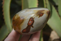 Polished Polychrome Jasper Standing Free Forms  x 3 From Madagascar