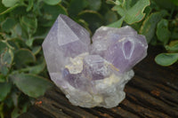 Natural Jacaranda Amethyst Clusters  x 3 From Mumbwa, Zambia - Toprock Gemstones and Minerals 