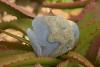 Polished Blue Lace Agate Standing Free Forms  x 3 From Malawi - TopRock