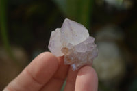 Natural Single Spirit Amethyst Quartz Crystals x 70 From Boekenhouthoek, South Africa