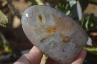 Polished Agate Standing Free Forms x 5 From Madagascar