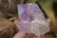 Natural Jacaranda Amethyst Clusters x 2 From Mumbwe, Zambia