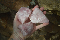 Natural Pink Rose Quartz Cobbed Specimens x 12 From Namibia