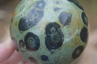 Polished Stromatolite / Kambamba Jasper Spheres  x 3 From Madagascar - Toprock Gemstones and Minerals 