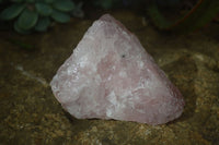 Natural Pink Rose Quartz Cobbed Specimens x 12 From Namibia