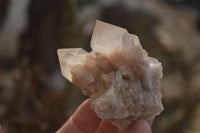 Natural Smokey Phantom Quartz Clusters x 12 From Luena, Congo