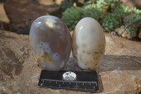 Polished Agate Standing Free Forms x 5 From Madagascar