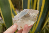 Polished Tourmalinated & Smokey Window Quartz Crystals  x 2 From Madagascar - TopRock