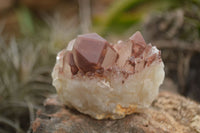 Natural Red Hematoid Quartz Specimens x 12 From Karoi, Zimbabwe - TopRock