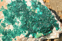 Natural Classic XXL Dioptase Museum Specimen x 1 From Tantara, Congo - TopRock