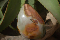 Polished Polychrome Jasper Standing Free Forms  x 3 From Madagascar