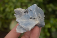 Natural New Sky Blue Calcite Specimens  x 24 From Spitzkop, Namibia