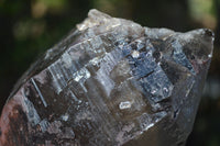 Natural Morion Smokey Quartz Crystals  x 2 From Mulanje, Malawi - Toprock Gemstones and Minerals 