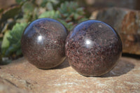 Polished Pyrope Red Garnet Spheres  x 2 From Madagascar