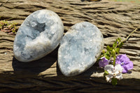 Polished Blue Celestite Egg Geodes  x 2 From Sakoany, Madagascar - TopRock