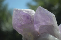 Natural Jacaranda Amethyst Clusters x 2 From Mumbwa, Zambia - TopRock