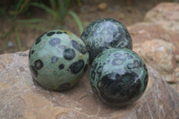 Polished Stromatolite / Kambamba Jasper Spheres  x 3 From Madagascar - Toprock Gemstones and Minerals 