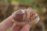 Natural Red Hematoid Quartz Specimens x 12 From Karoi, Zimbabwe - TopRock