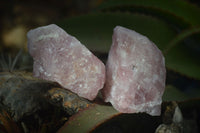 Natural Pink Rose Quartz Cobbed Specimens x 12 From Namibia