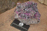 Natural Salrose Cobaltion Dolomite Specimen x 1 From Kakanda, Congo - TopRock