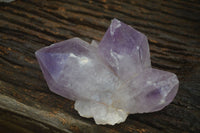 Natural Jacaranda Amethyst Clusters  x 3 From Mumbwa, Zambia - Toprock Gemstones and Minerals 