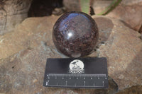 Polished Pyrope Red Garnet Spheres  x 2 From Madagascar