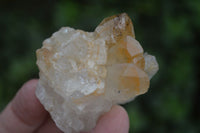 Natural Small Golden Lemonite / Limonite  Quartz Clusters  x 35 From Zambia - Toprock Gemstones and Minerals 