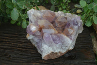 Natural Jacaranda Amethyst Cluster x 1 From Mumbwa, Zambia - TopRock