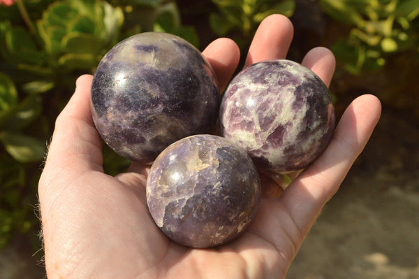 Polished Dark Purple Lepidolite Spheres  x 6 From Madagascar - TopRock