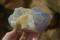 Natural Jacaranda Amethyst Crystals x 6 From Mumbwe, Zambia