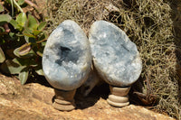 Polished Blue Celestite Egg Geodes  x 2 From Sakoany, Madagascar - TopRock