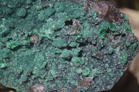 Natural Drusy Coated Ball Malachite On Dolomite Specimen  x 1 From Likasi, Congo