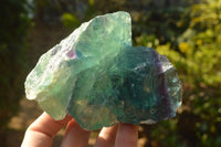 Natural Cobbed & Stone Sealed Watermelon Fluorite Pieces x 5 From Uis, Namibia - TopRock