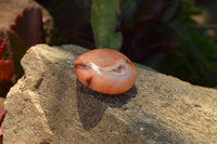 Polished Stunning Selection Of Carnelian Agate Palm Stones  x 20 From Madagascar - TopRock