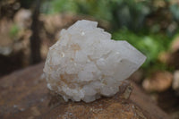 Natural "Cathedral Window" Cascading Candle Quartz Crystals x 4 From Madagascar - Toprock Gemstones and Minerals 