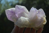 Natural Jacaranda Amethyst Clusters x 2 From Mumbwa, Zambia - TopRock