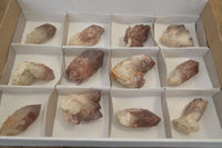 Natural Red Hematoid Quartz Specimens x 12 From Karoi, Zimbabwe