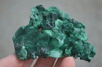 Natural Chatoyant Silky Malachite Specimens  x 6 From Kasompe, Congo - Toprock Gemstones and Minerals 