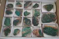 Natural Micro Botryoidal Crystalline Malachite Specimens  x 19 From Tenke Fungurume, Congo - TopRock