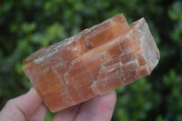 Natural New Sunset Orange Calcite Specimens  x 3 From Spitzkop, Namibia