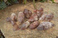 Natural Red Hematoid Quartz Specimens x 12 From Karoi, Zimbabwe